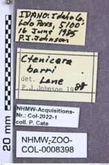 Etiketten zu Beckerus barri (Lane, 1965) (NHMW-ZOO-COL-0008398)